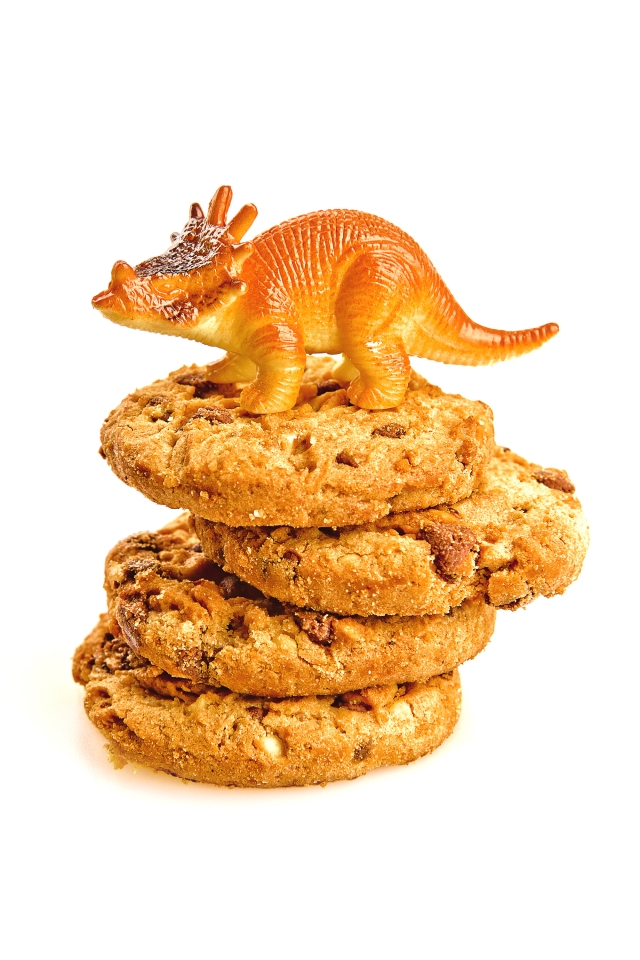 Dino Cookies!